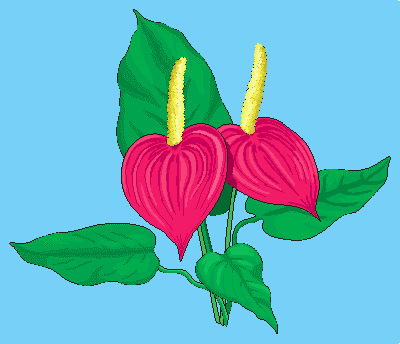 _images/image10.png