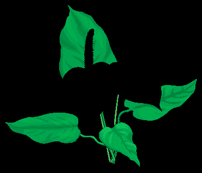 _images/image23.png