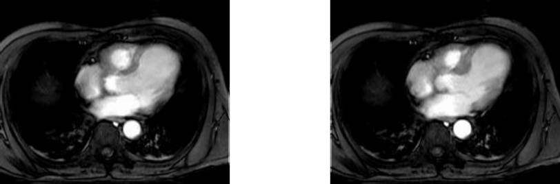 _images/image4.jpg